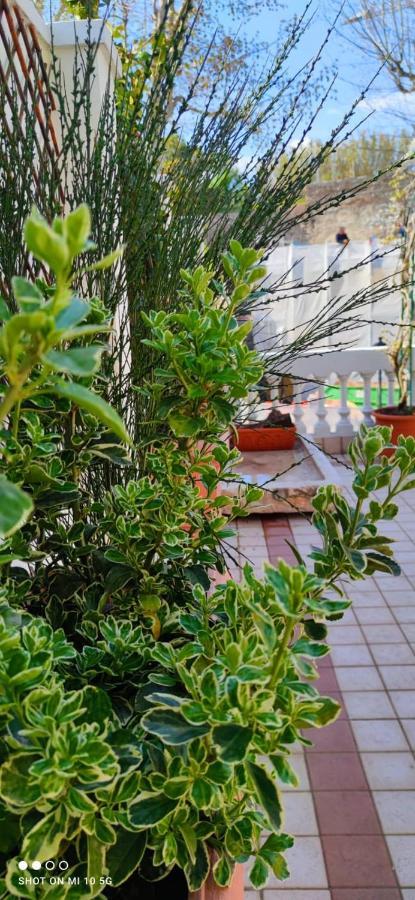 Residenza Porta Brescia Vila Peschiera del Garda Exterior foto